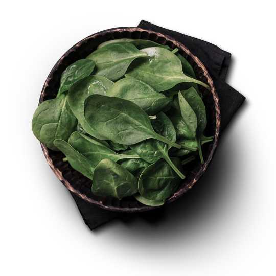 img-pairing-salad-es.png